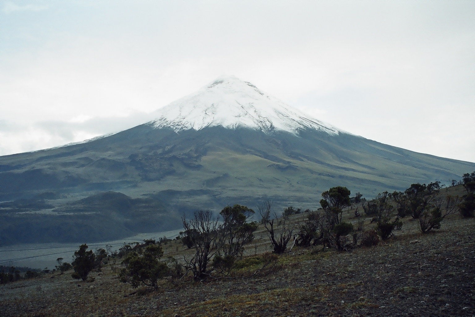 Cotopaxi, a volcanic marker of Ecuador’s highland terroir