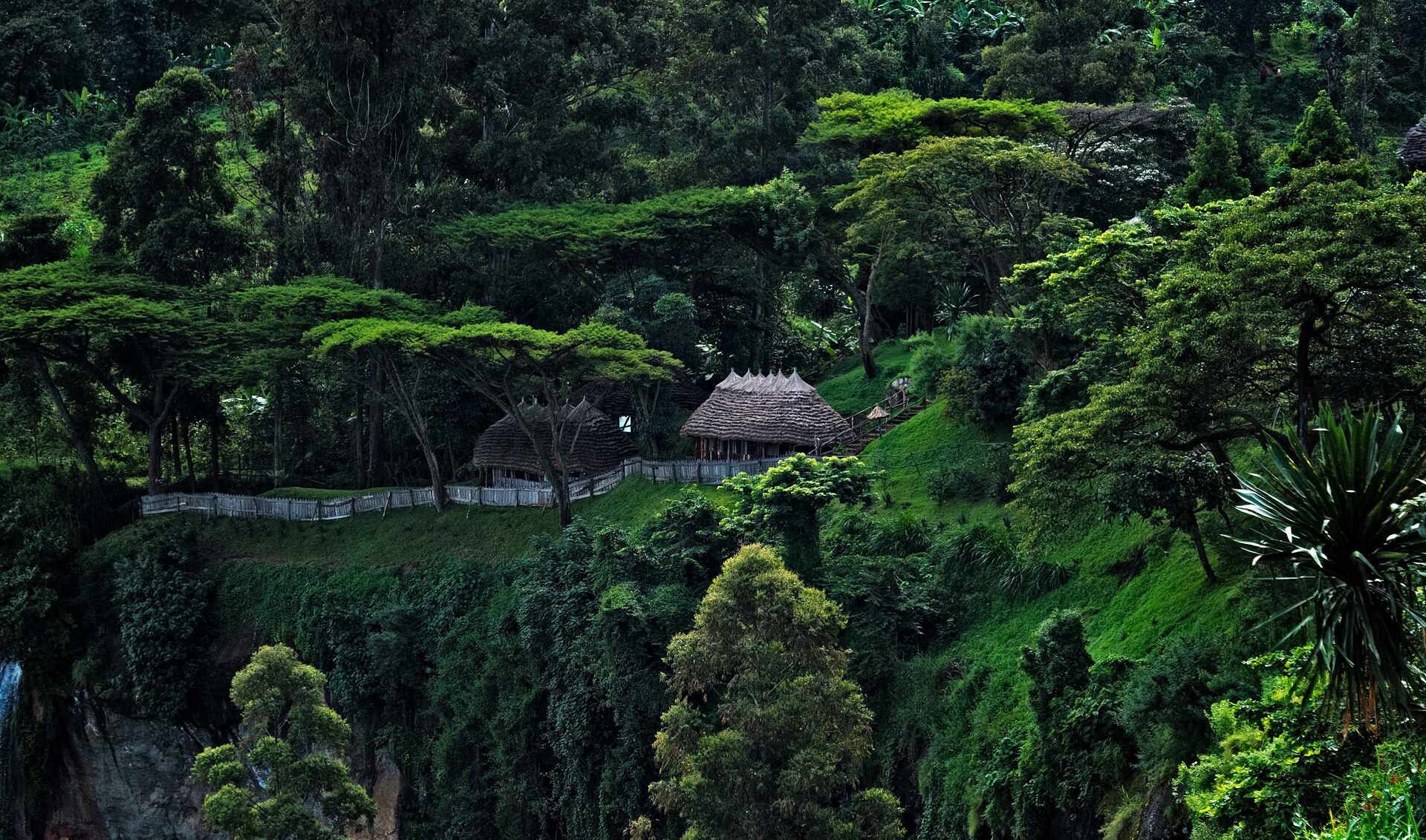 Mount Elgon on the Uganda–Kenya border, where Bugisu Arabica is grown