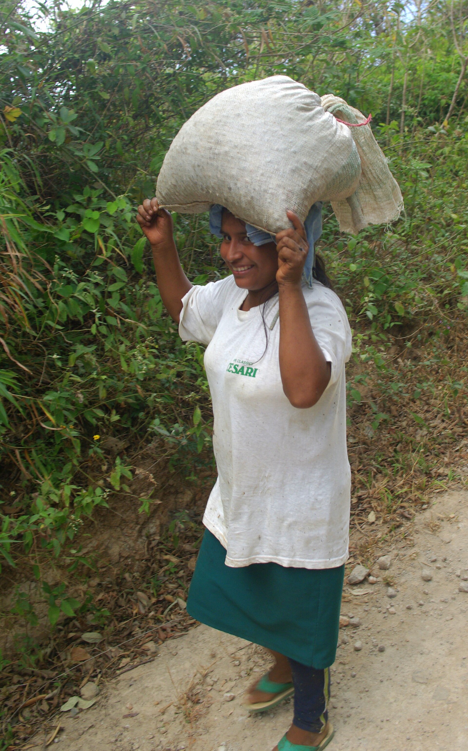 A coffee grower in El Salvador carrying harvested cherry