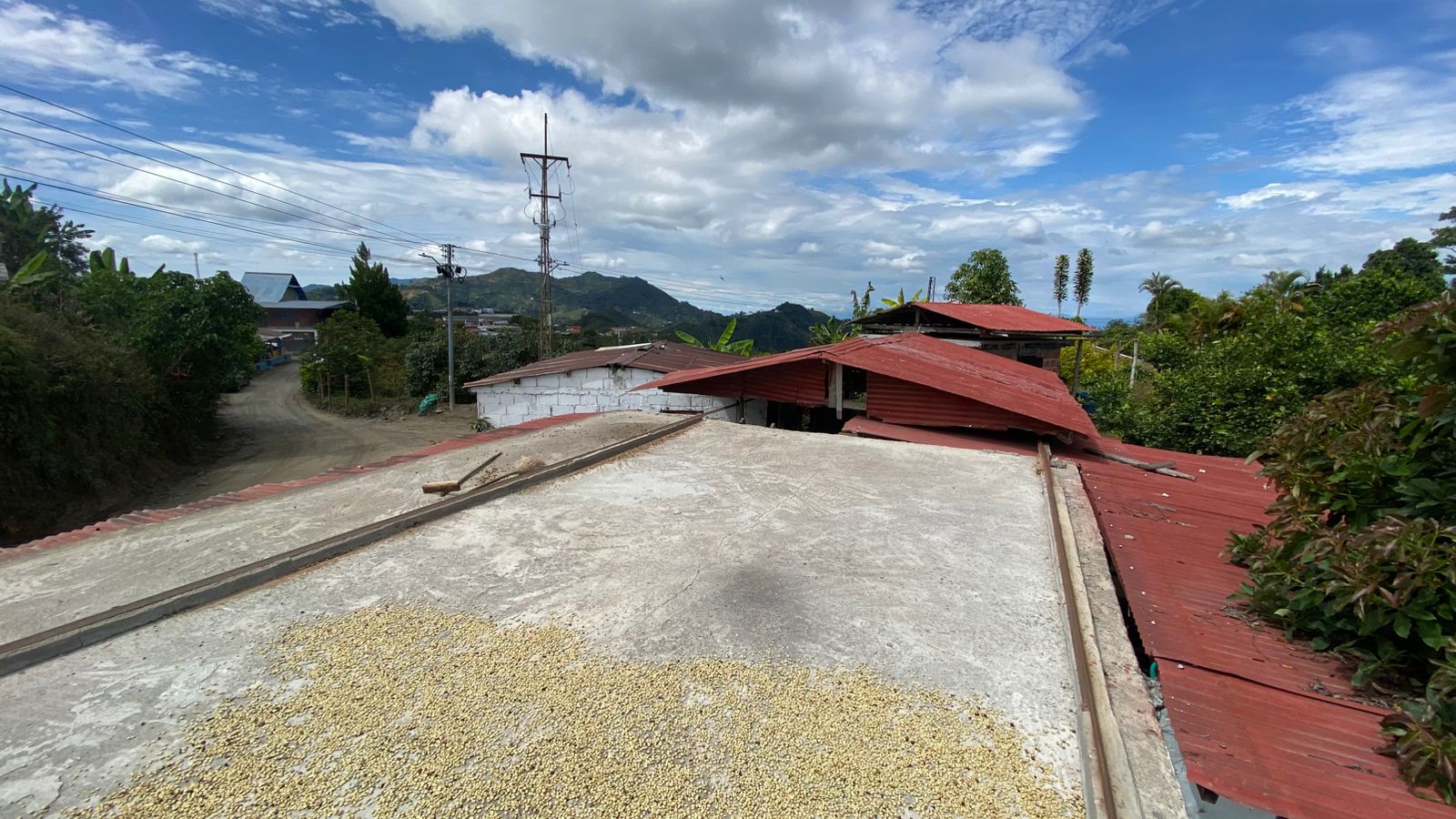 Raised drying beds (helda) used for coffee parchment in Colombia